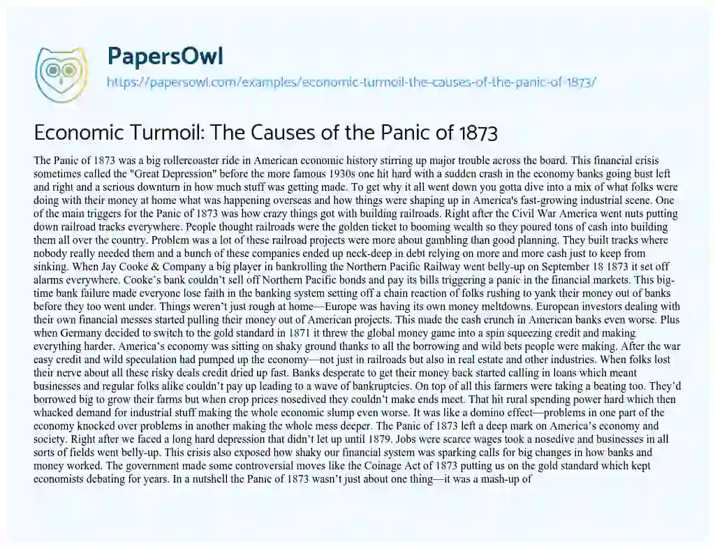 Essay on Economic Turmoil: the Causes of the Panic of 1873