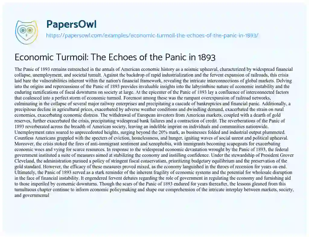 Essay on Economic Turmoil: the Echoes of the Panic in 1893