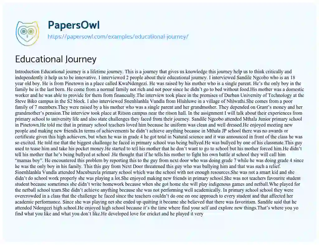 Essay on Educational Journey