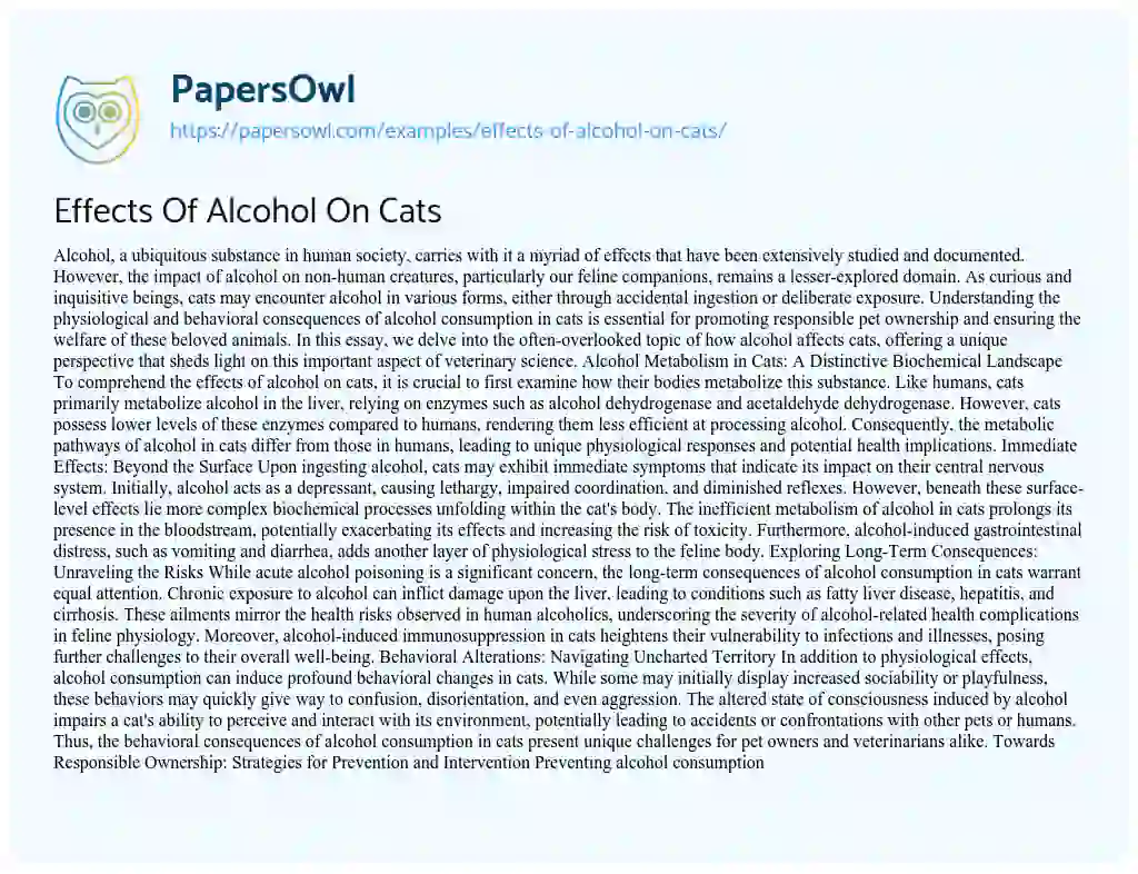 Essay on Effects of Alcohol on Cats