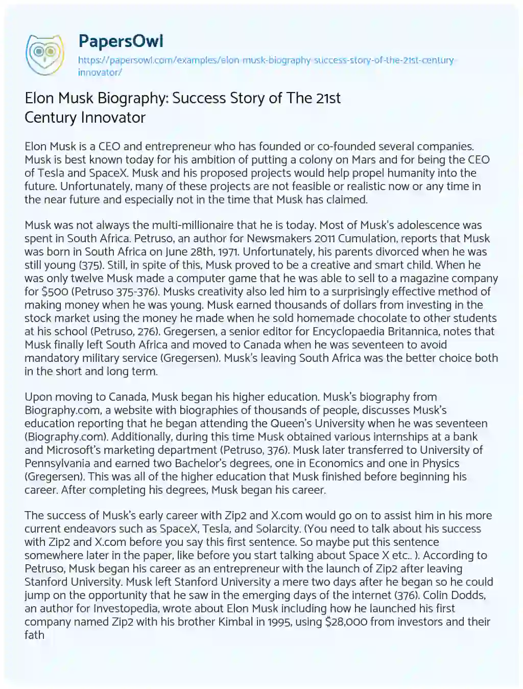 Elon Musk Biography: Success Story of the 21st Century Innovator essay