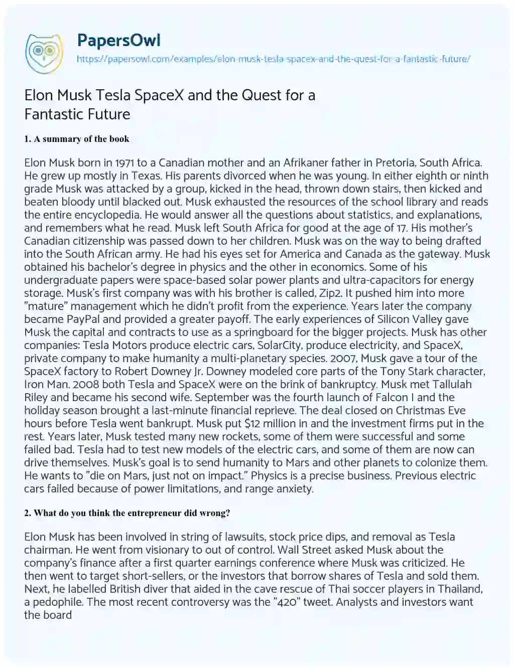 Essay on Elon Musk Tesla SpaceX and the Quest for a Fantastic Future