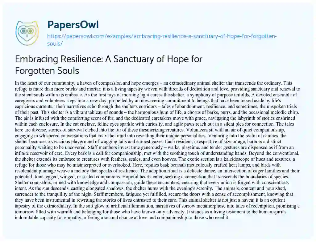 Essay on Embracing Resilience: a Sanctuary of Hope for Forgotten Souls