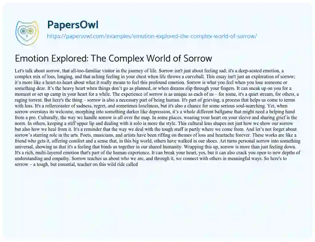 Essay on Emotion Explored: the Complex World of Sorrow