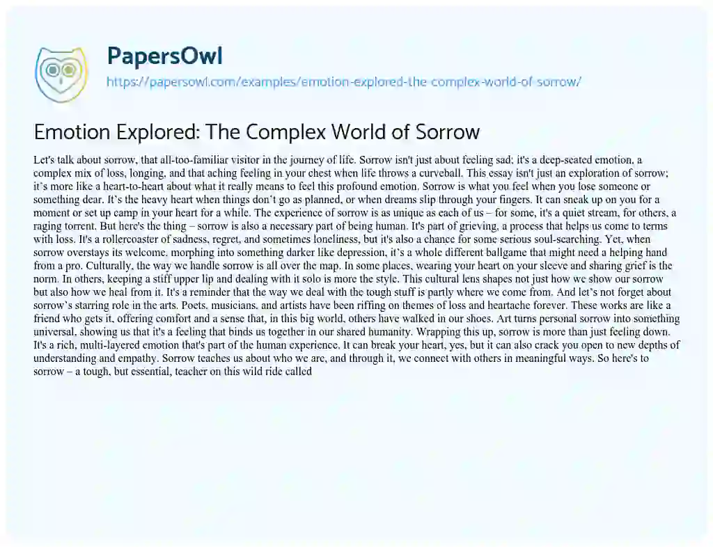 Essay on Emotion Explored: The Complex World of Sorrow