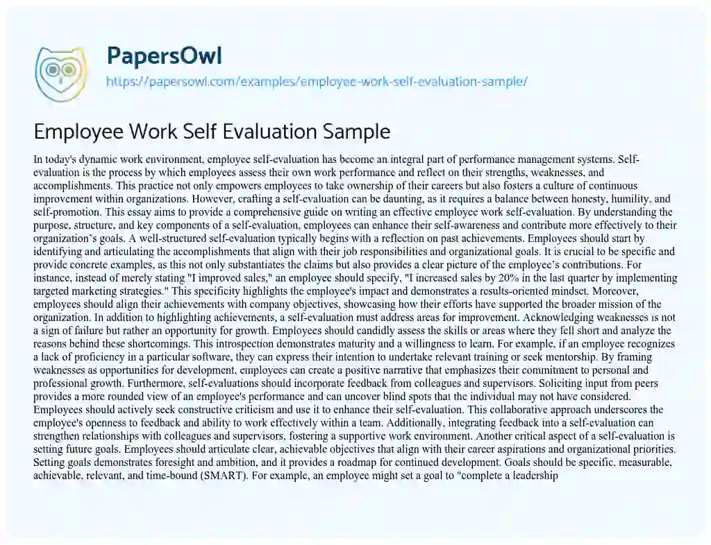 Essay on Employee Work Self Evaluation Sample