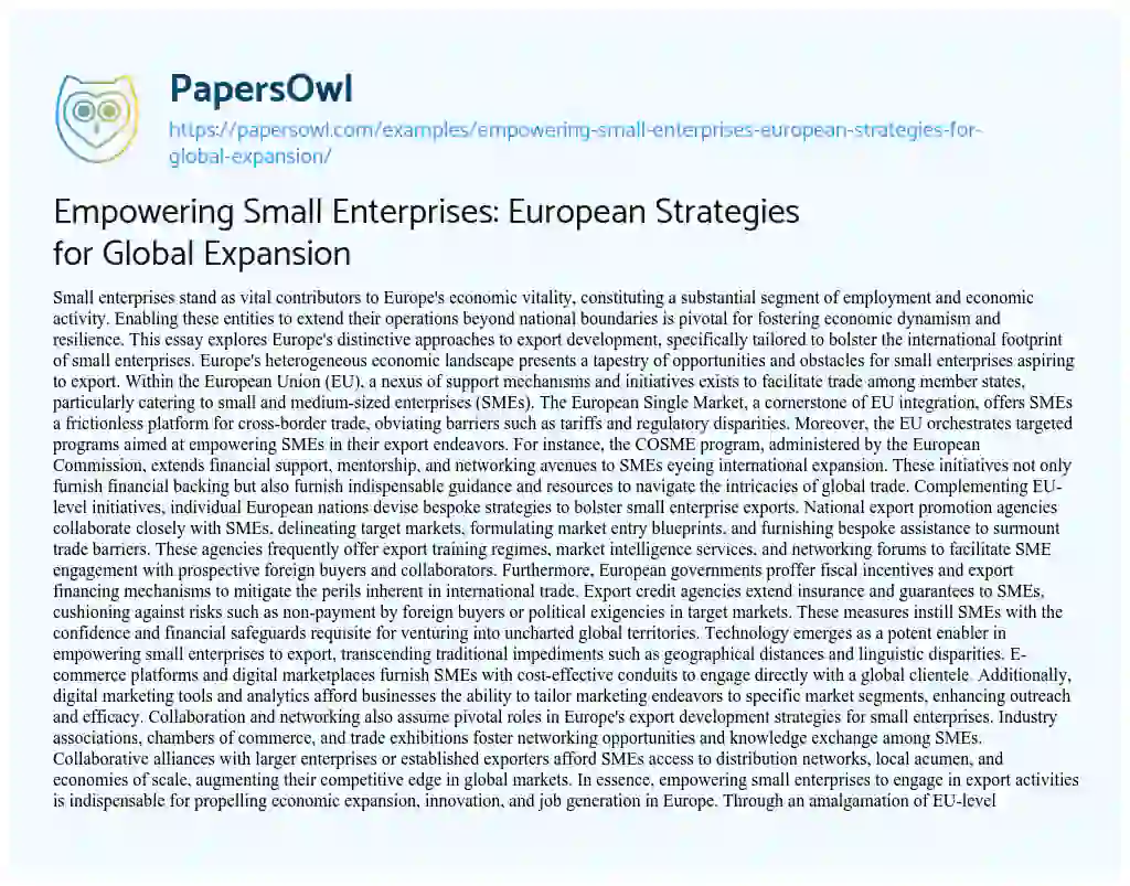 Essay on Empowering Small Enterprises: European Strategies for Global Expansion