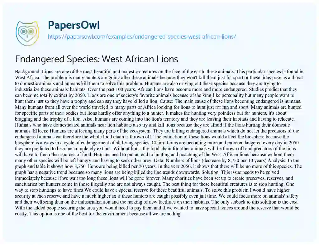 Essay on Endangered Species: West African Lions