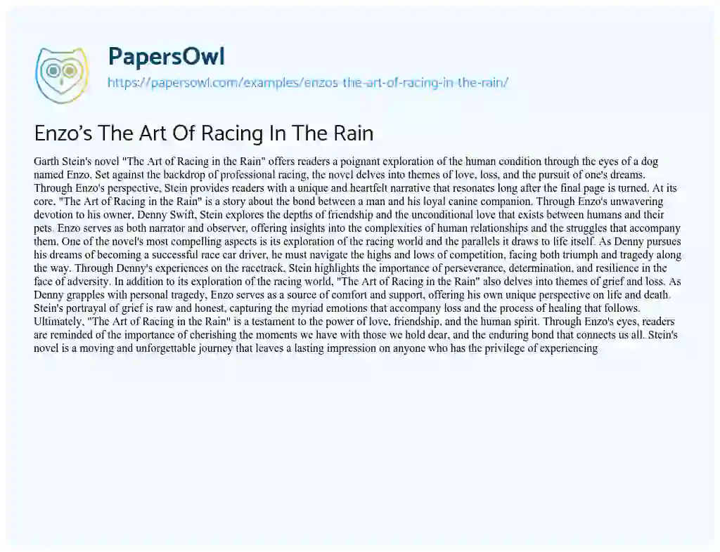 Essay on Enzo’s the Art of Racing in the Rain