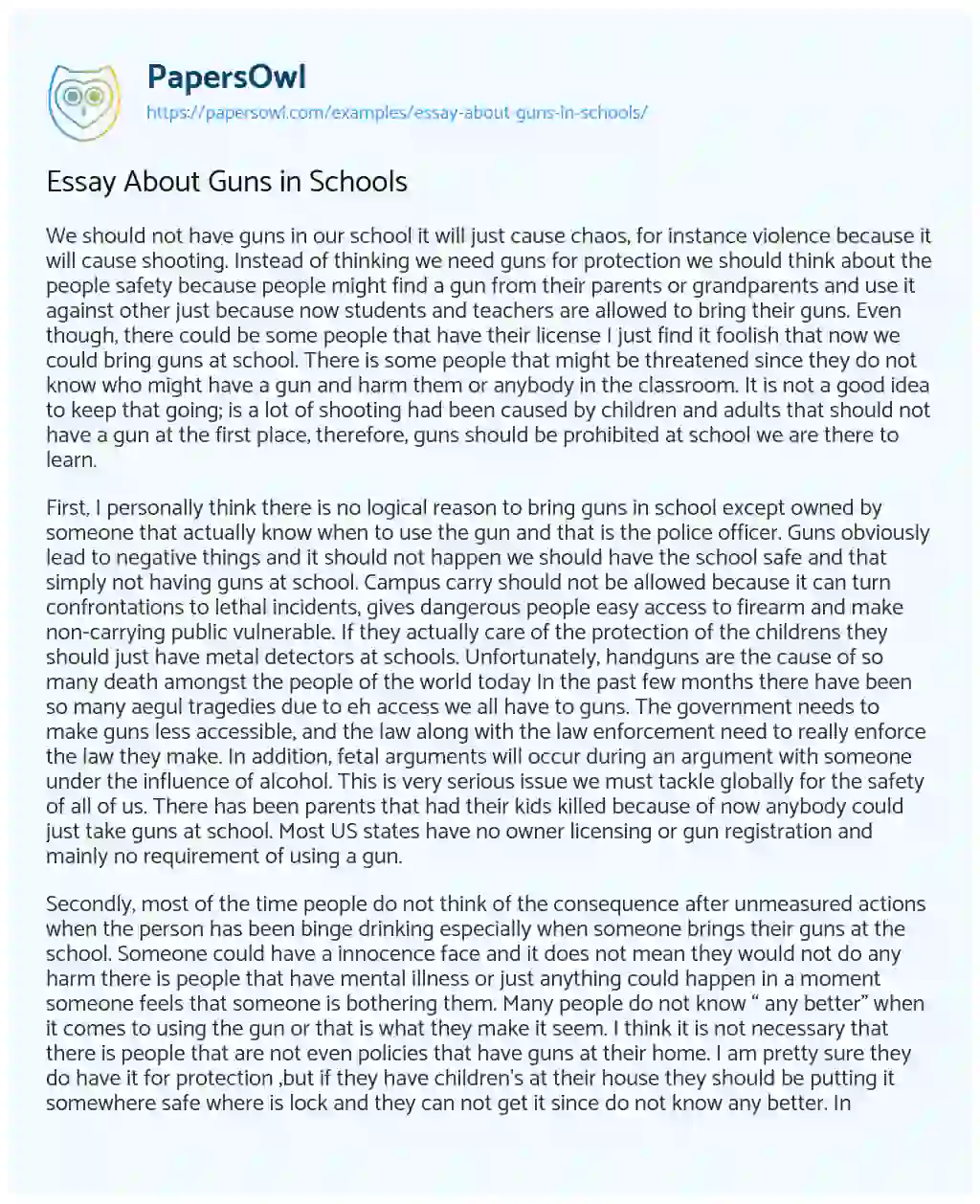 Essay on Essay about Guns in Schools