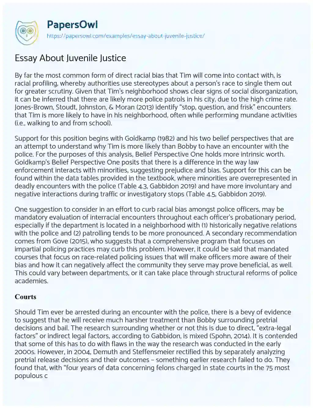 Essay on Essay about Juvenile Justice