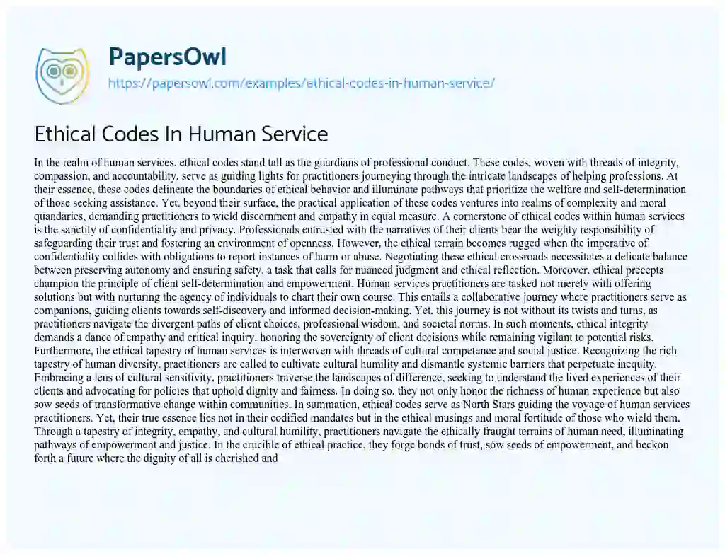 Essay on Ethical Codes in Human Service