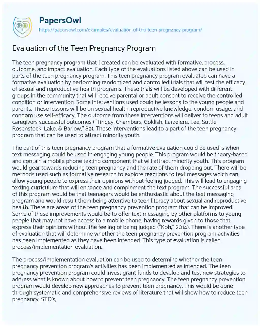 Evaluation of the Teen Pregnancy Program essay
