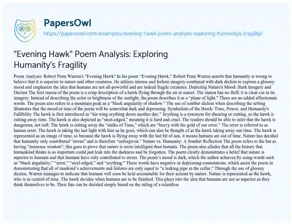 Essay on “Evening Hawk” Poem Analysis: Exploring Humanity’s Fragility