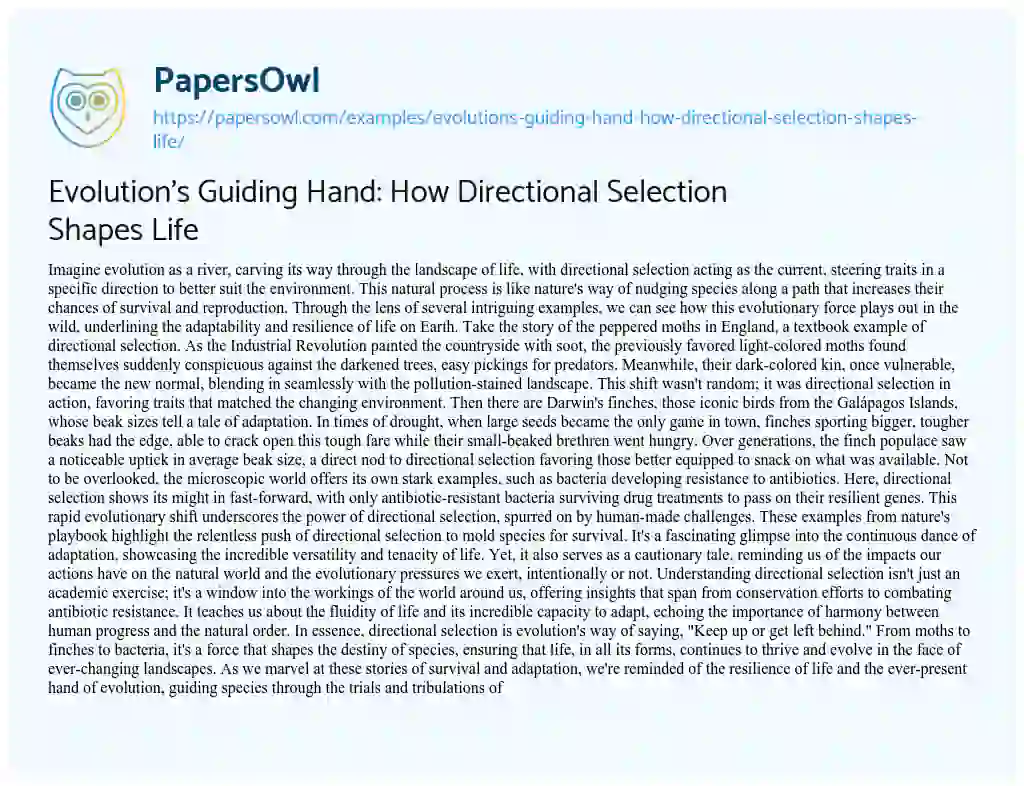 Essay on Evolution’s Guiding Hand: how Directional Selection Shapes Life