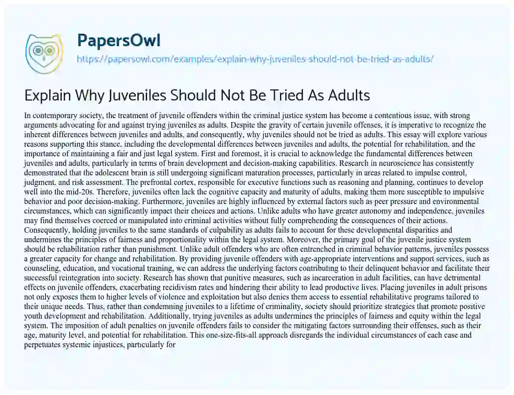 Essay on Explain why Juveniles should not be Tried as Adults
