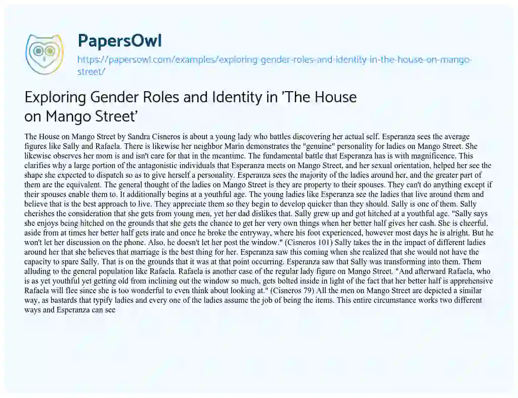 Essay on Exploring Gender Roles and Identity in ‘The House on Mango Street’