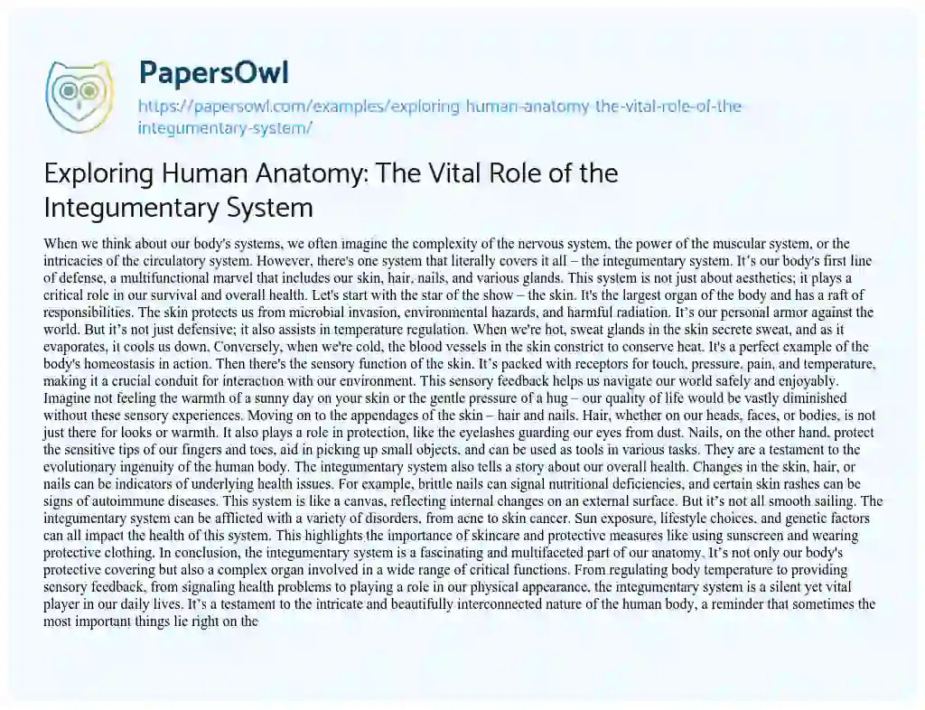 Essay on Exploring Human Anatomy: the Vital Role of the Integumentary System