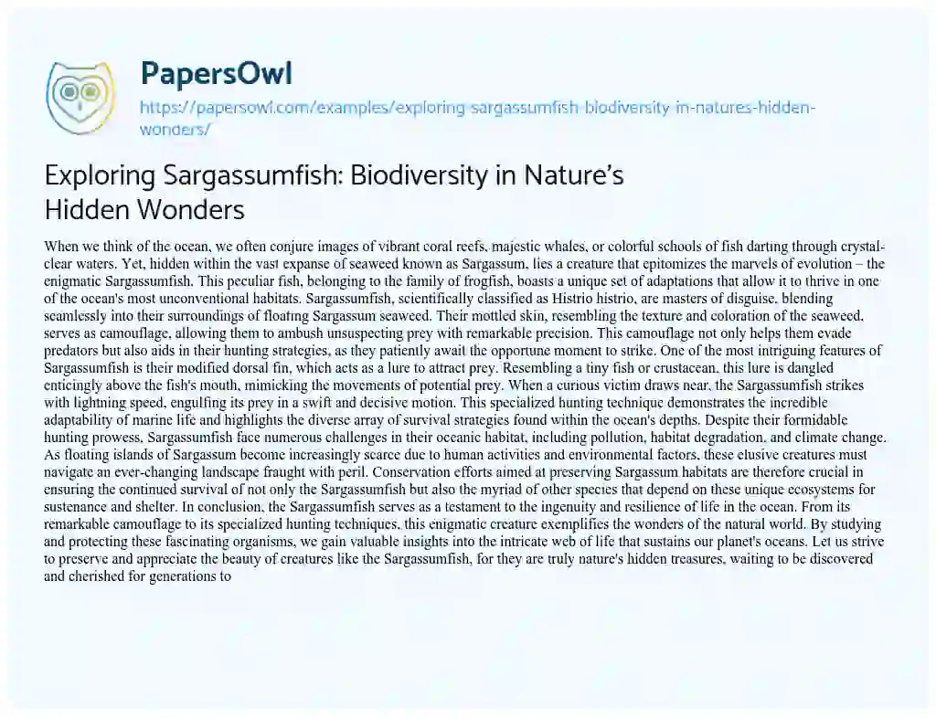 Essay on Exploring Sargassumfish: Biodiversity in Nature’s Hidden Wonders