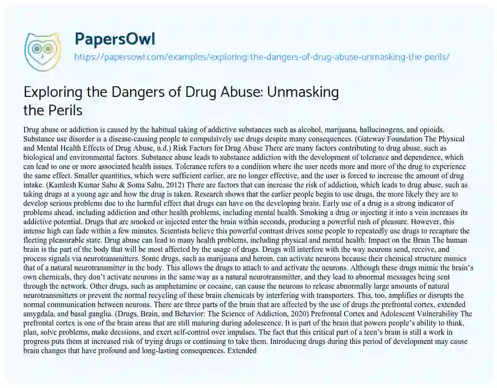 Essay on Exploring the Dangers of  Drug Abuse: Unmasking the Perils