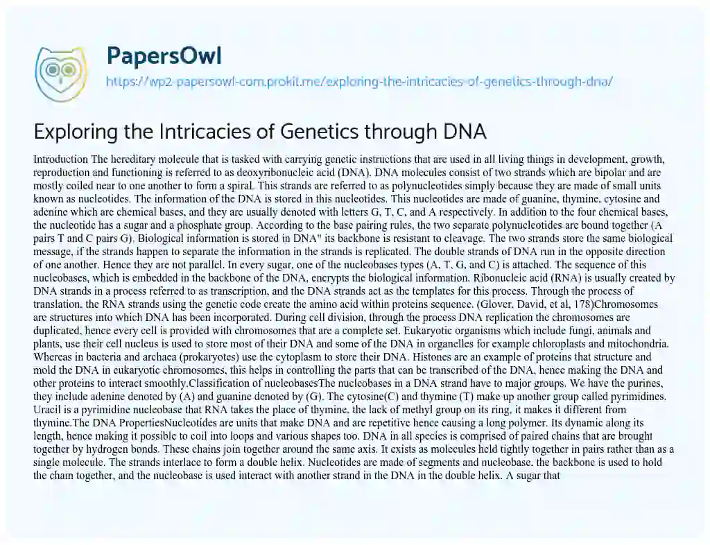 Essay on Exploring the Intricacies of Genetics through DNA