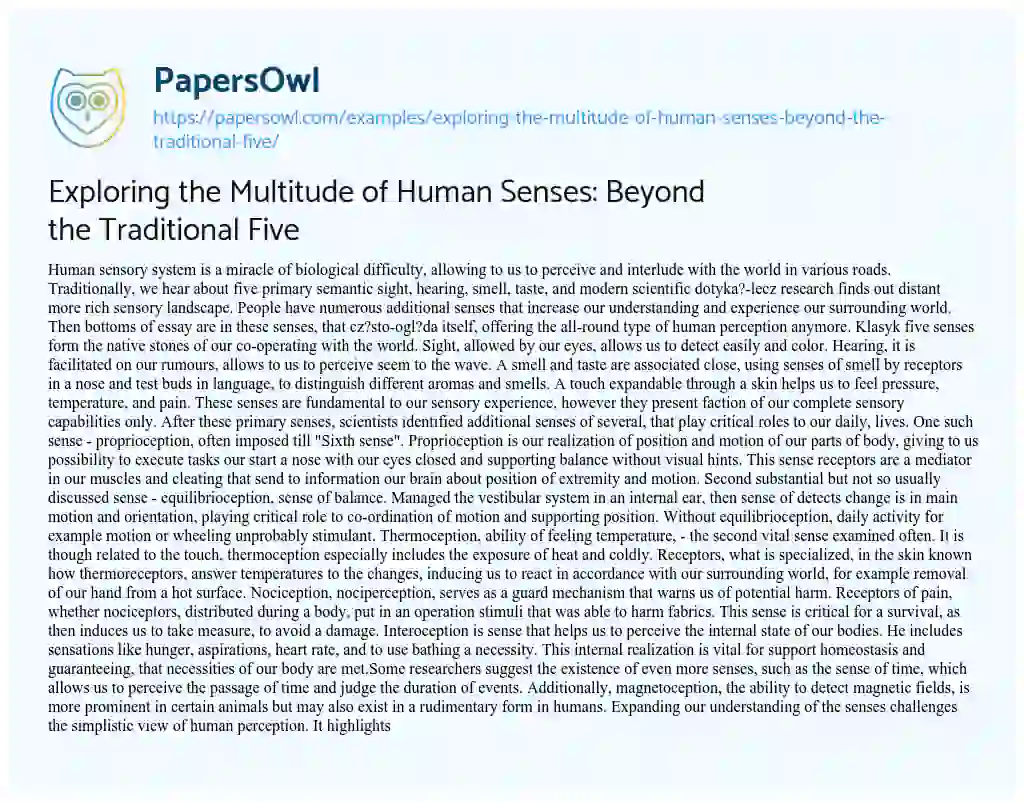 Essay on Exploring the Multitude of Human Senses: Beyond the Traditional Five