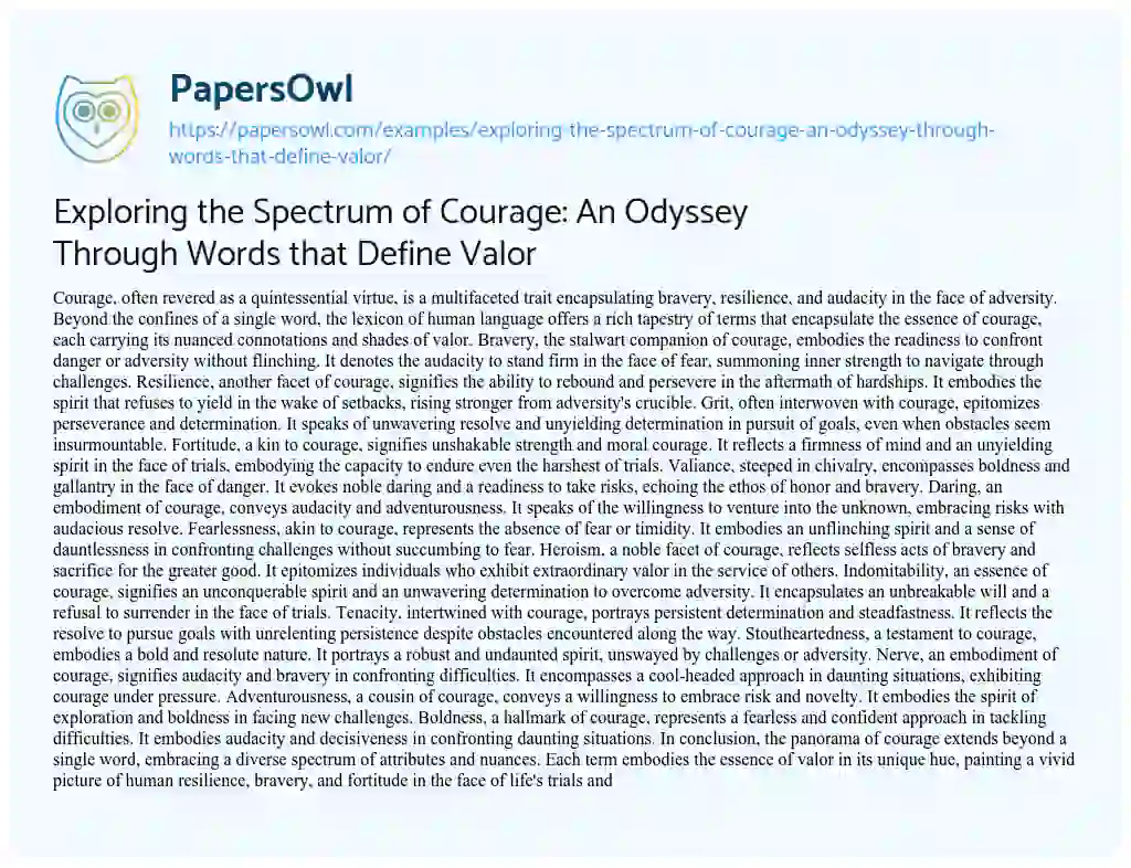 Essay on Exploring the Spectrum of Courage: an Odyssey through Words that Define Valor