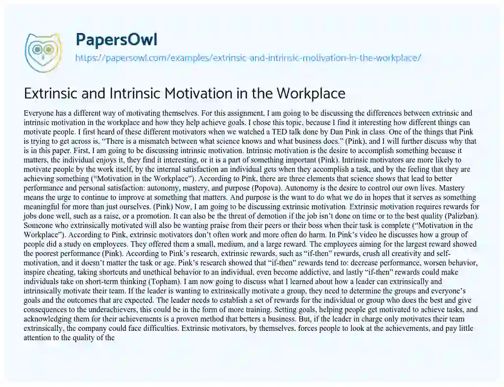 Extrinsic and Intrinsic Motivation in the Workplace essay