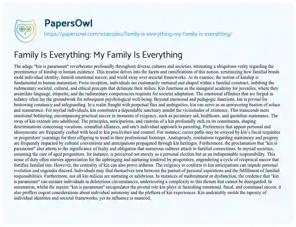 Essay on Family Is Everything: My Family Is Everything