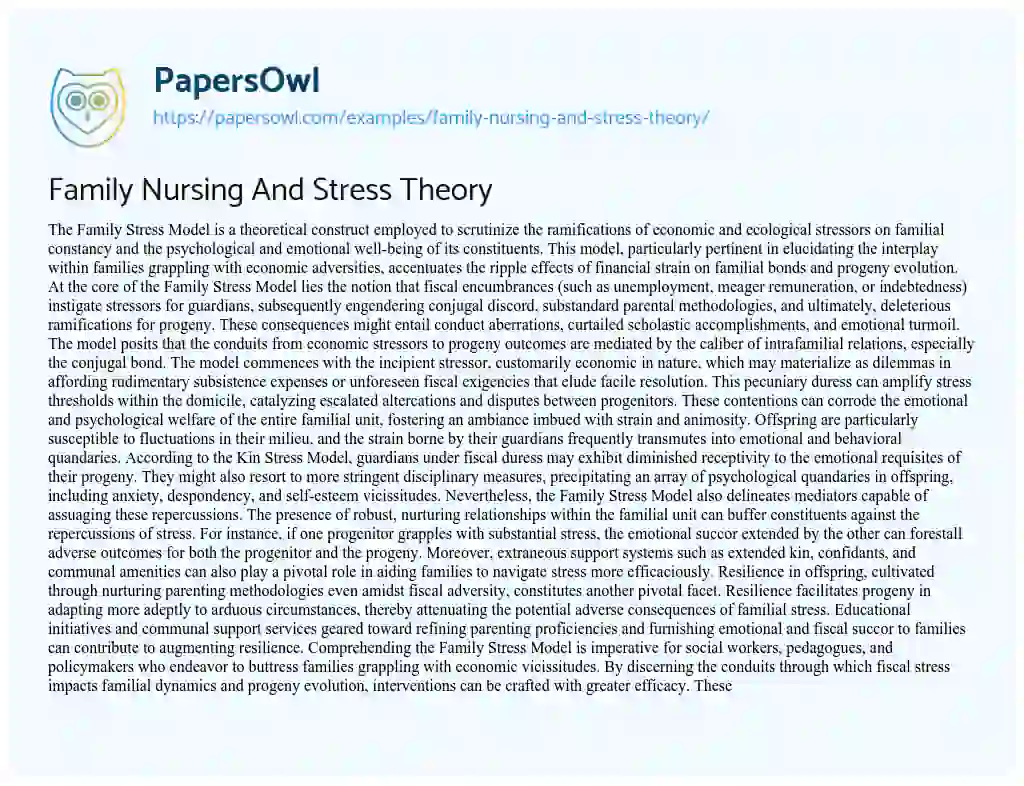 Essay on Family Nursing And Stress Theory