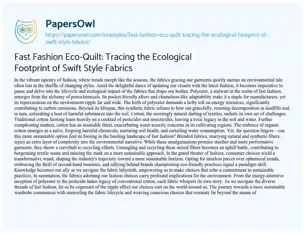 Essay on Fast Fashion Eco-Quilt: Tracing the Ecological Footprint of Swift Style Fabrics