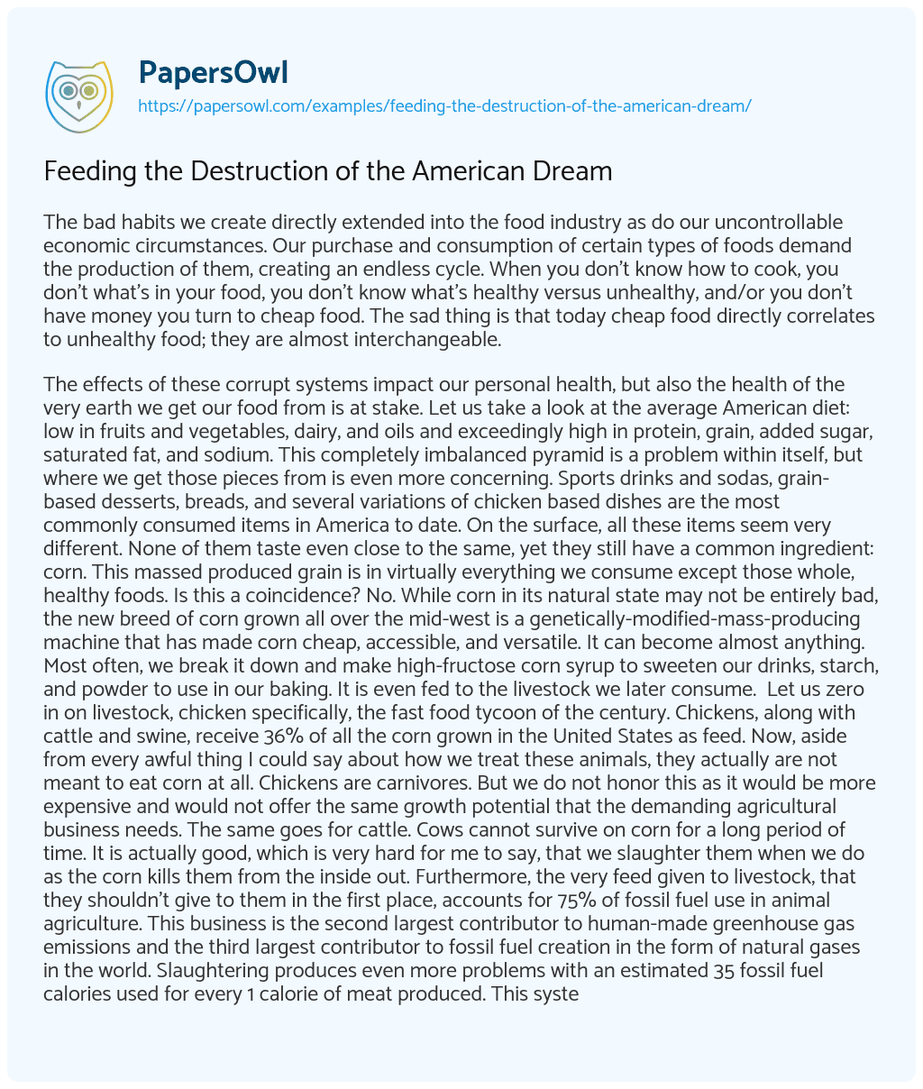 Essay on Feeding the Destruction of the American Dream