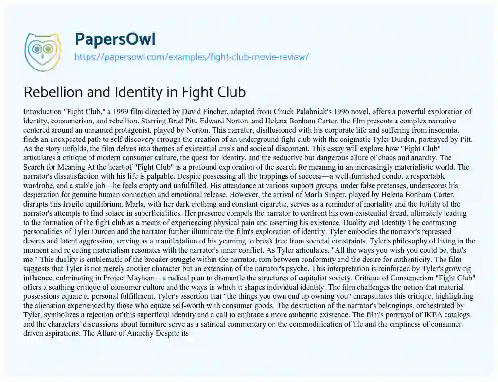 Essay on Fight Club Movie Review