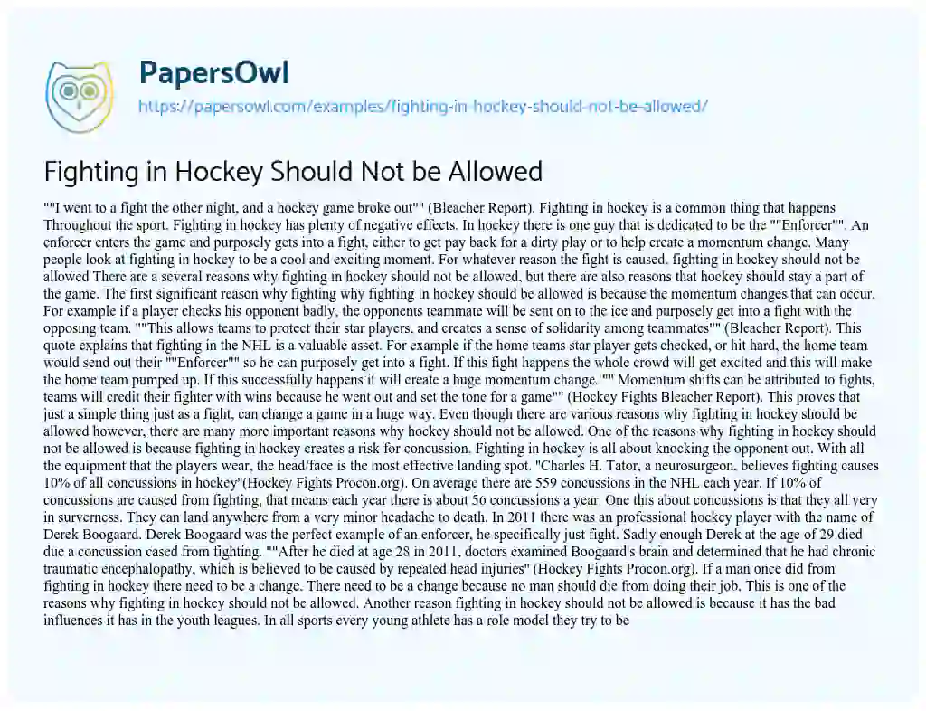 Essay on Fighting in Hockey should not be Allowed