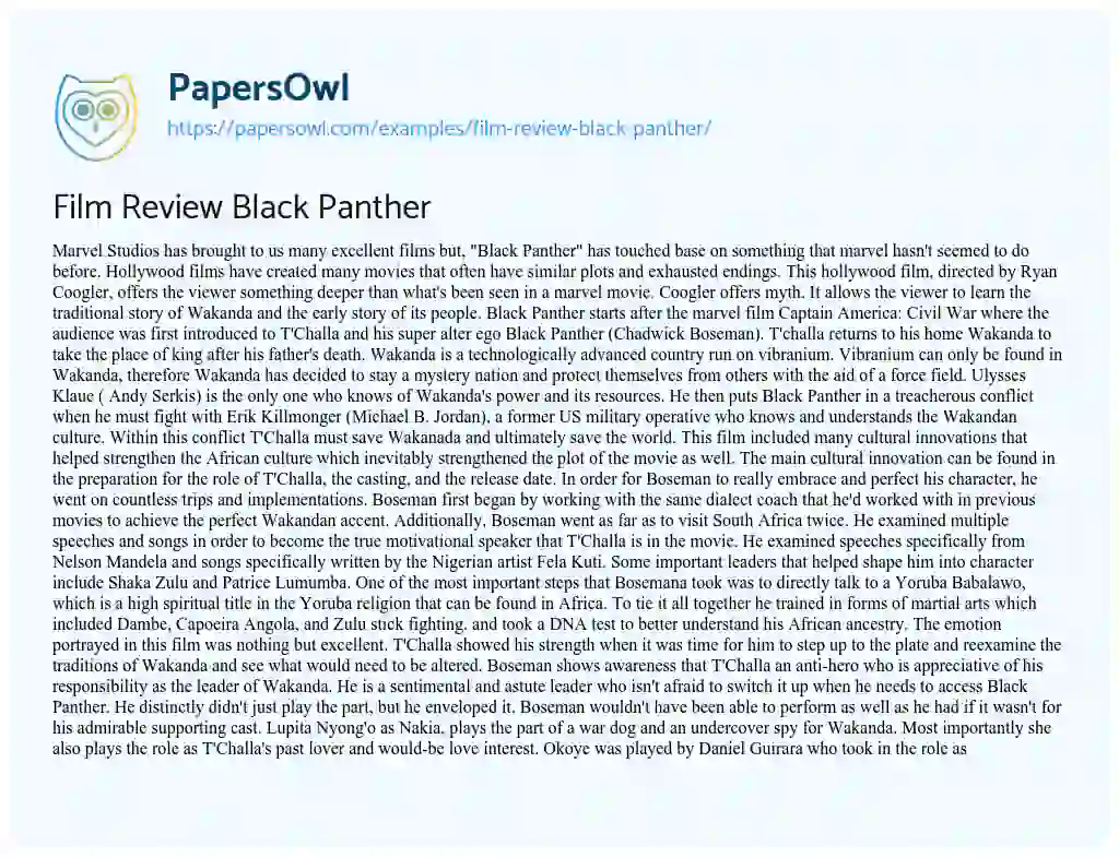 Film Review Black Panther essay