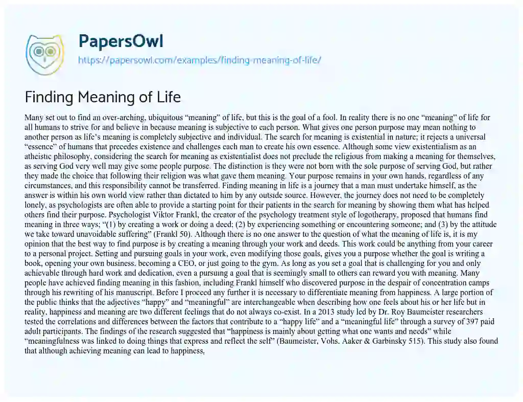 Essay on Finding Meaning of Life