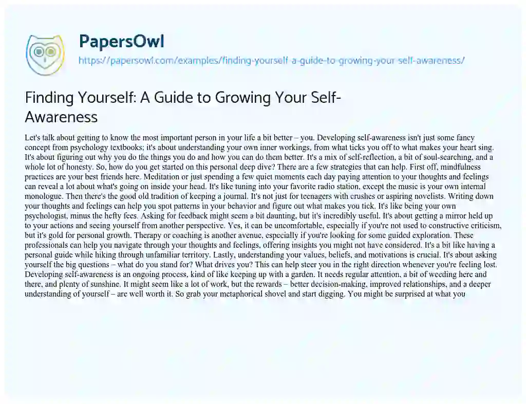 Essay on Finding Yourself: a Guide to Growing your Self-Awareness