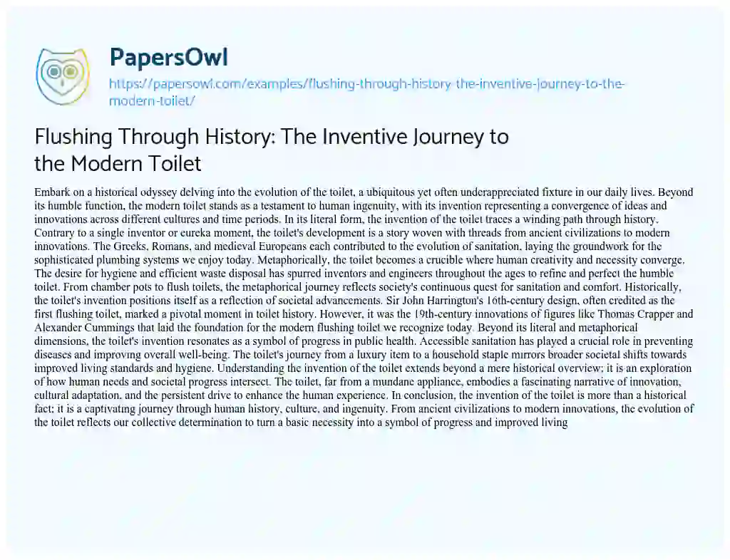 Essay on Flushing Through History: The Inventive Journey to the Modern Toilet