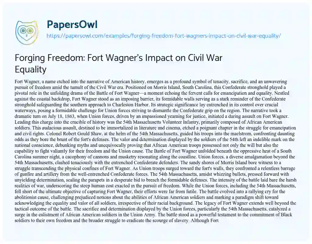 Essay on Forging Freedom: Fort Wagner’s Impact on Civil War Equality