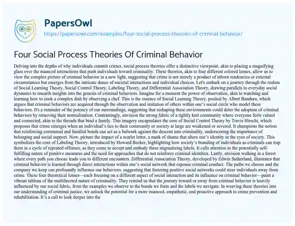 Essay on Four Social Process Theories of Criminal Behavior