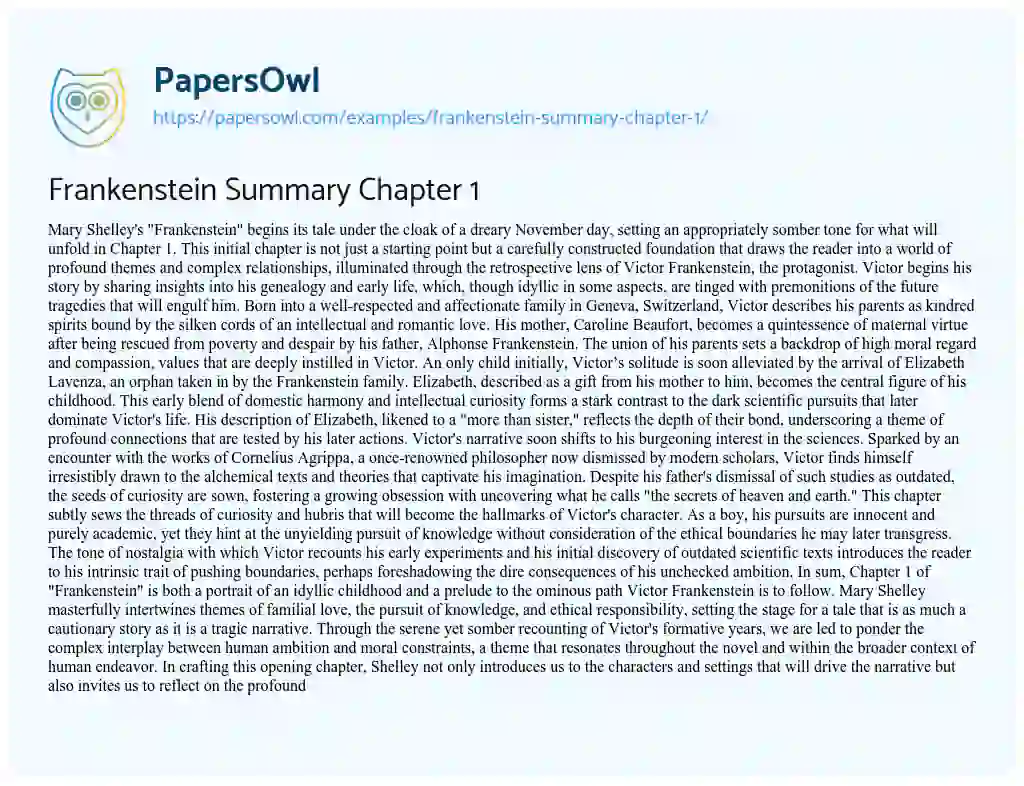 Essay on Frankenstein Summary Chapter 1