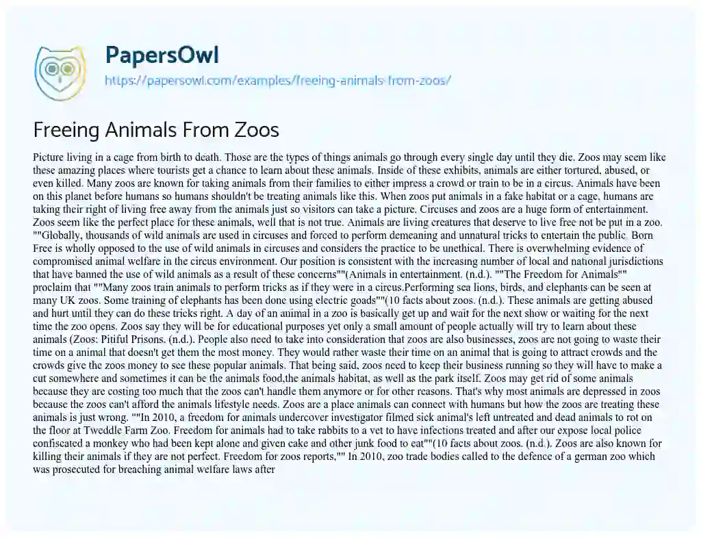 Essay on Freeing Animals from Zoos