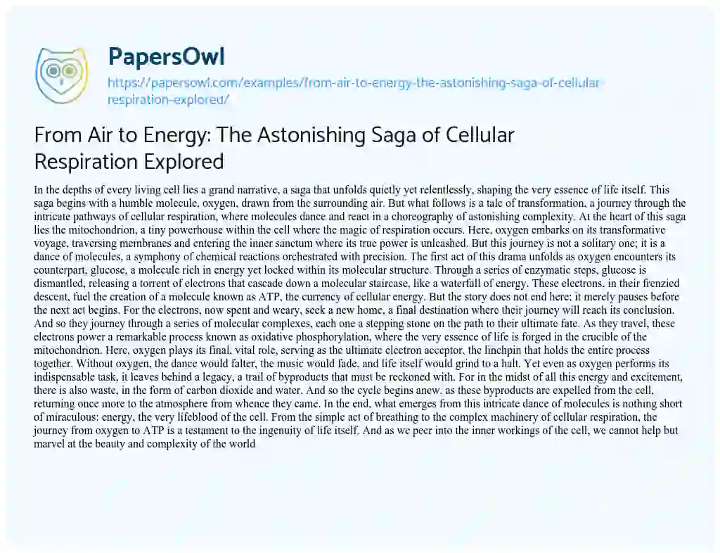 Essay on From Air to Energy: the Astonishing Saga of Cellular Respiration Explored