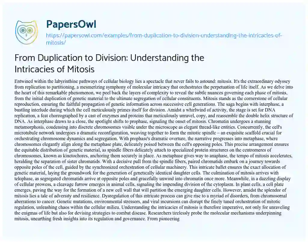 Essay on From Duplication to Division: Understanding the Intricacies of Mitosis