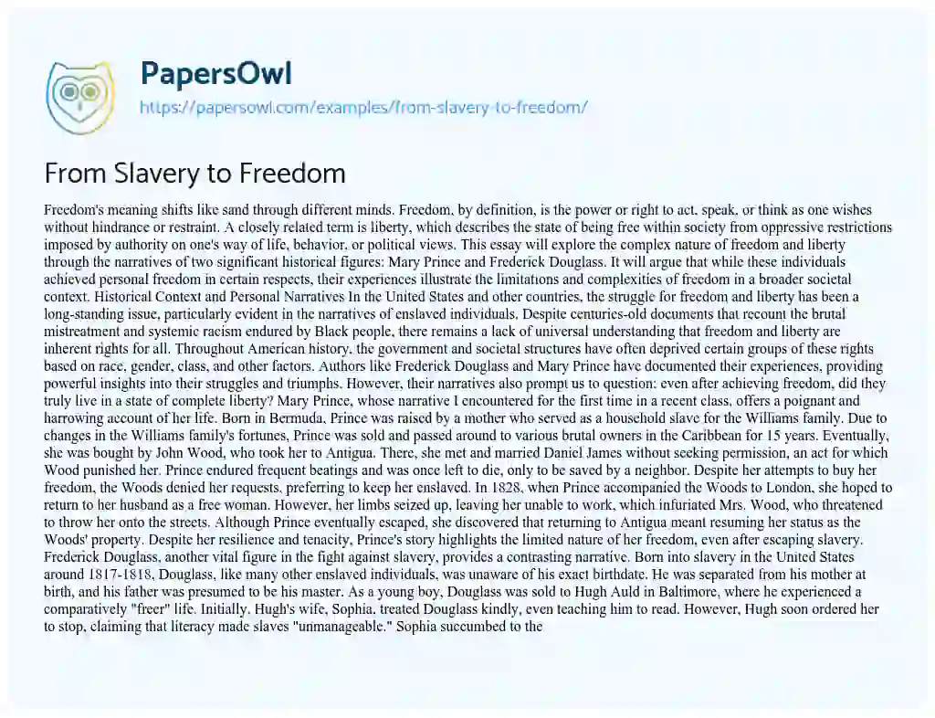 Essay on From Slavery to Freedom