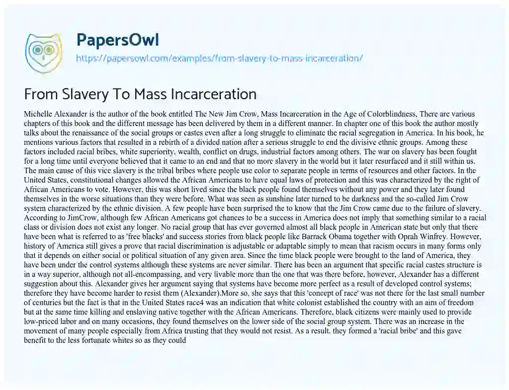 Essay on From Slavery to Mass Incarceration