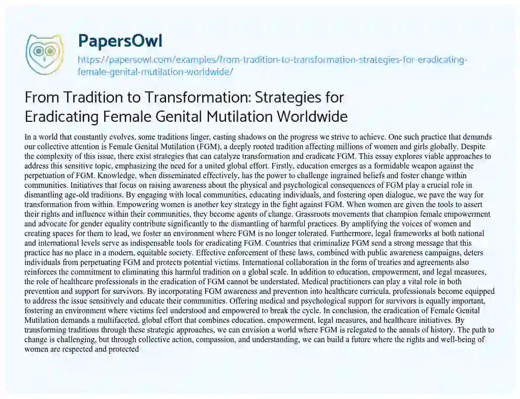 Essay on From Tradition to Transformation: Strategies for Eradicating Female Genital Mutilation Worldwide