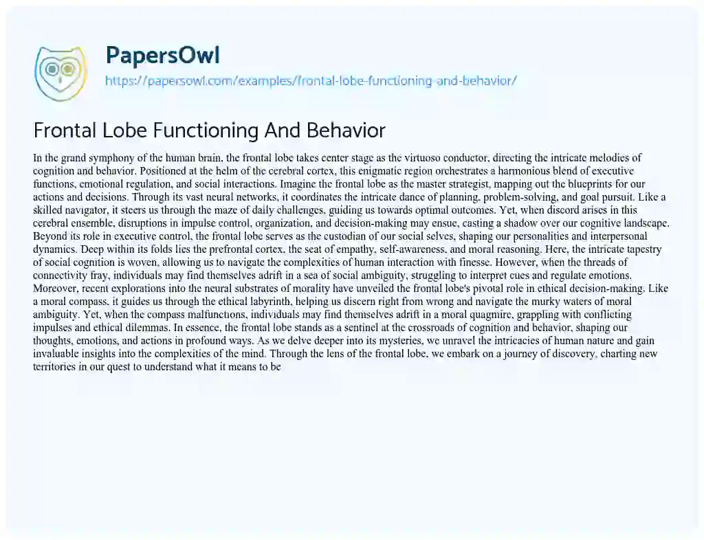 Essay on Frontal Lobe Functioning and Behavior