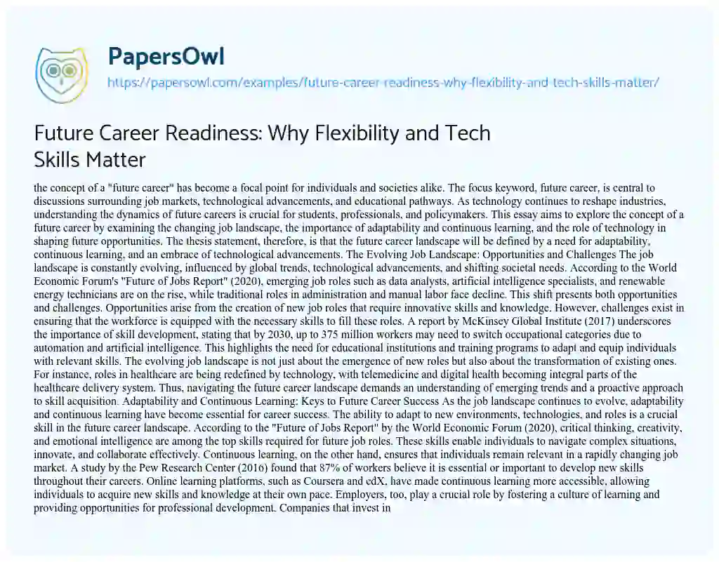Essay on Future Career Readiness: Why Flexibility and Tech Skills Matter