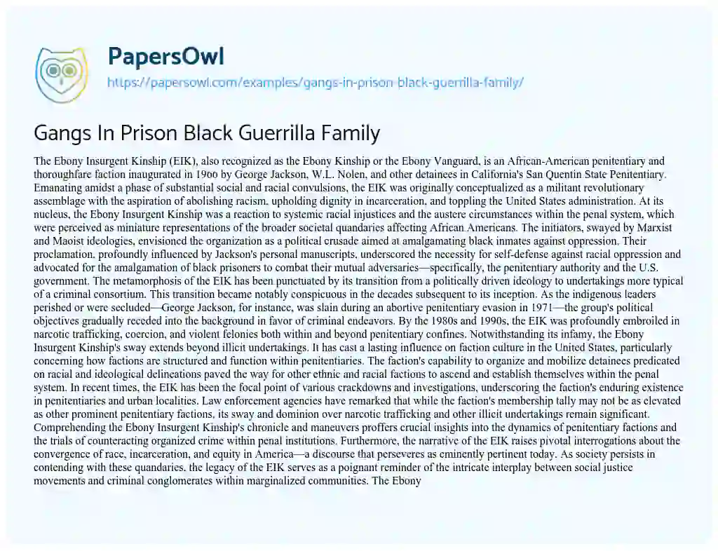 Essay on Gangs In Prison Black Guerrilla Family